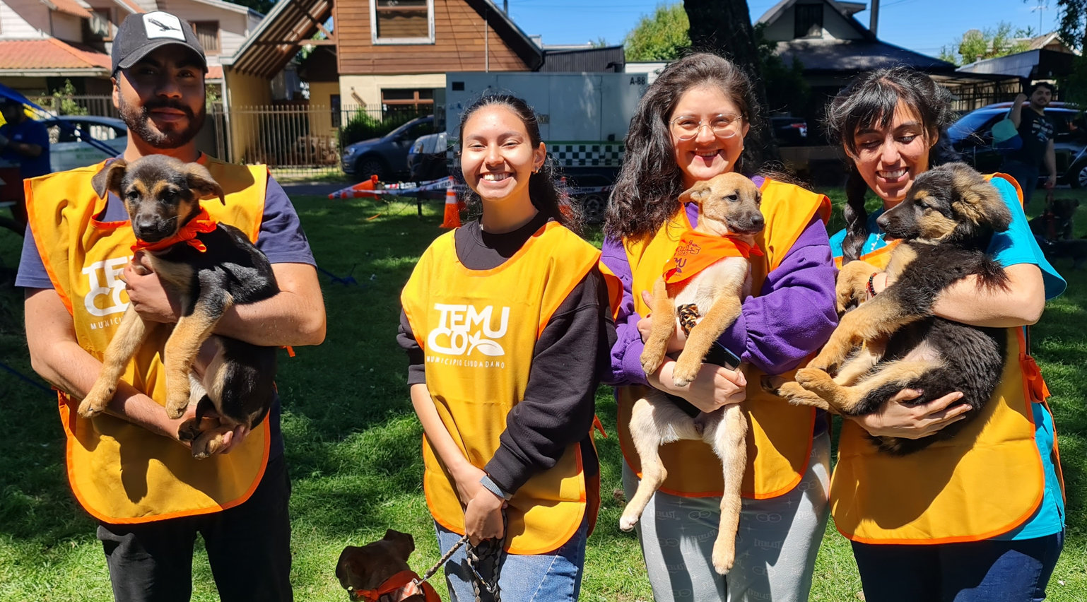 PERROS ADULTOS ESPERAN UNA SEGUNDA OPORTUNIDAD: TEMUCO LANZA CAMPAÑA DE ADOPCIÓN CON ESCUELA DE TENENCIA RESPONSABLE