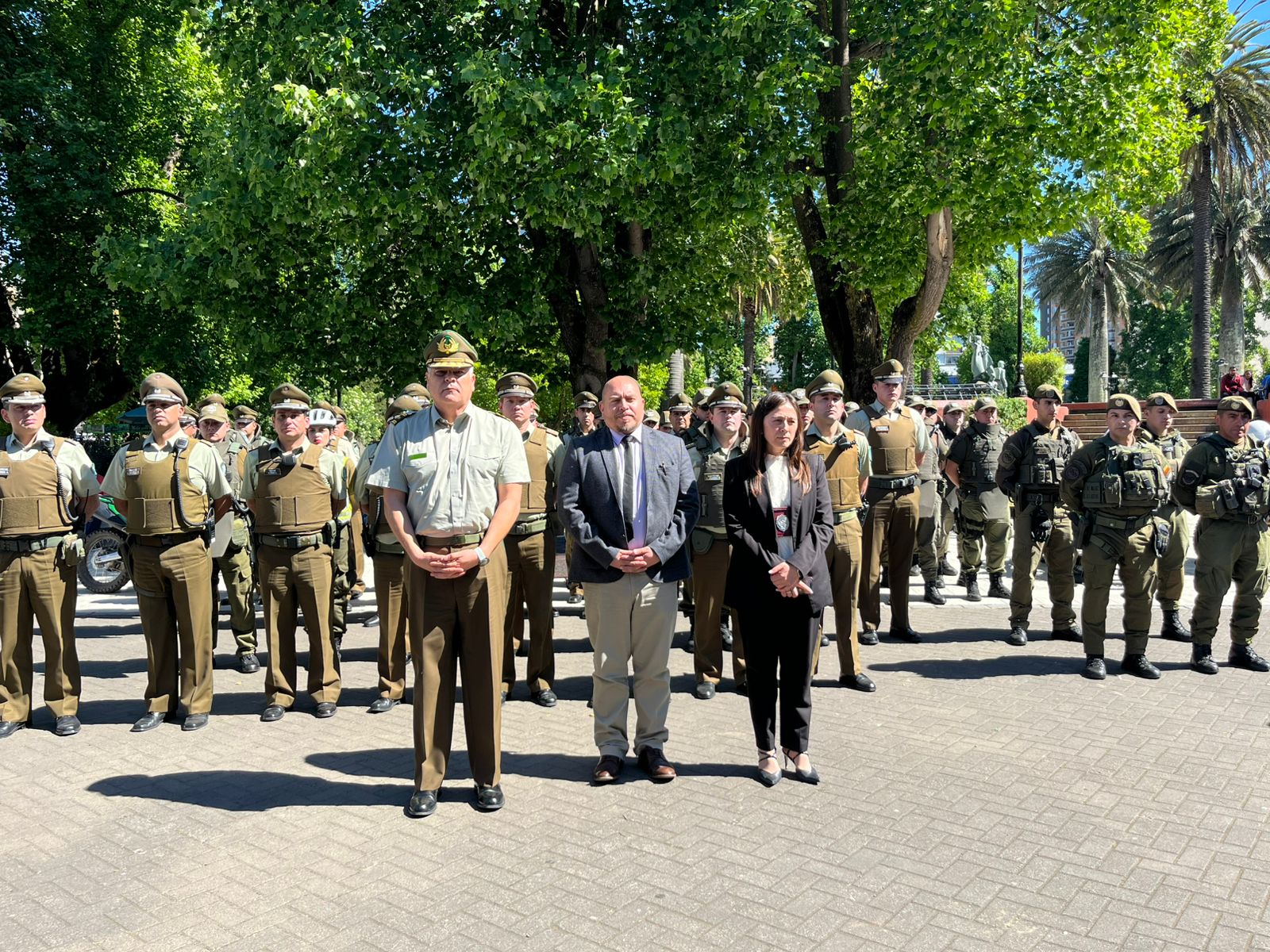 CARABINEROS – PDI EN LA NUEVA RONDA MASIVA CONJUNTA ARAUCANÍA: 256 PERSONAS DETENIDAS