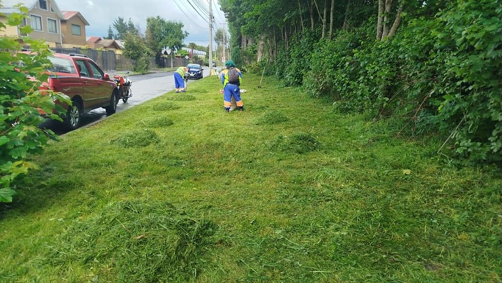 TEMUCO SIEMPRE EN ACCIÓN