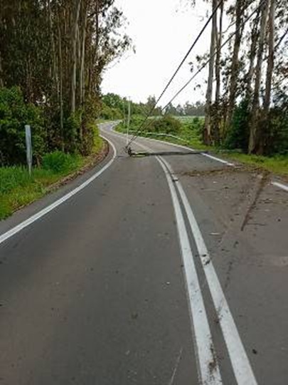 RUTA MAQUEHUE ZANJA CORTADO, EN PADRE LAS CASAS, POSTE DE ENERGÍA ELÉCTRICA CAÍDO EN RUTA