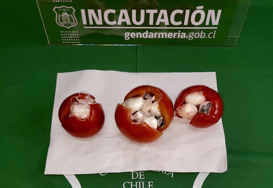 GENDARMERÍA INTERCEPTA DROGA DENTRO DE TOMATES QUE INGRESARÍA A CÁRCEL DE TEMUCO