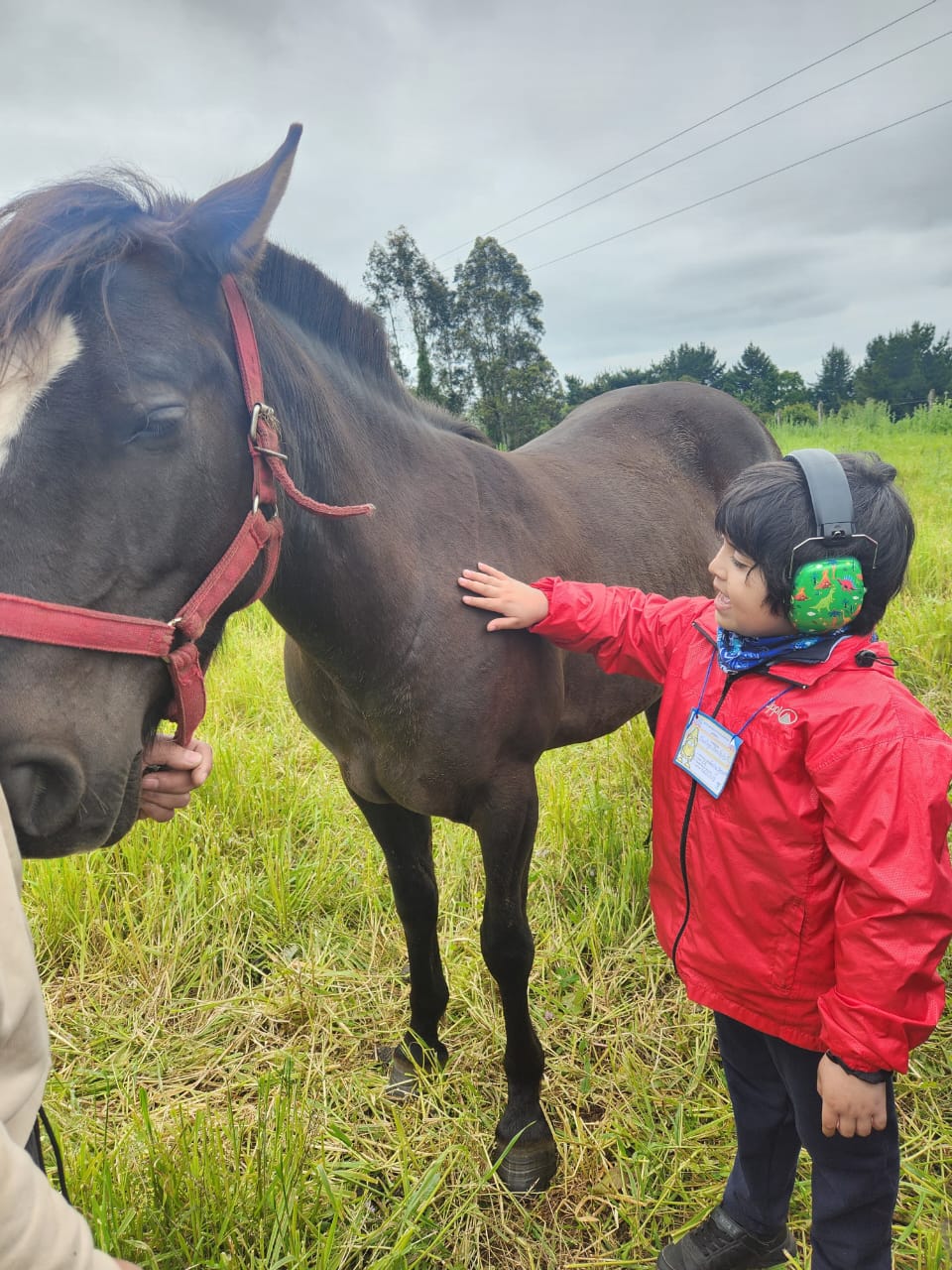 APRENDIENDO ENTRE ANIMALES Y NATURALEZA