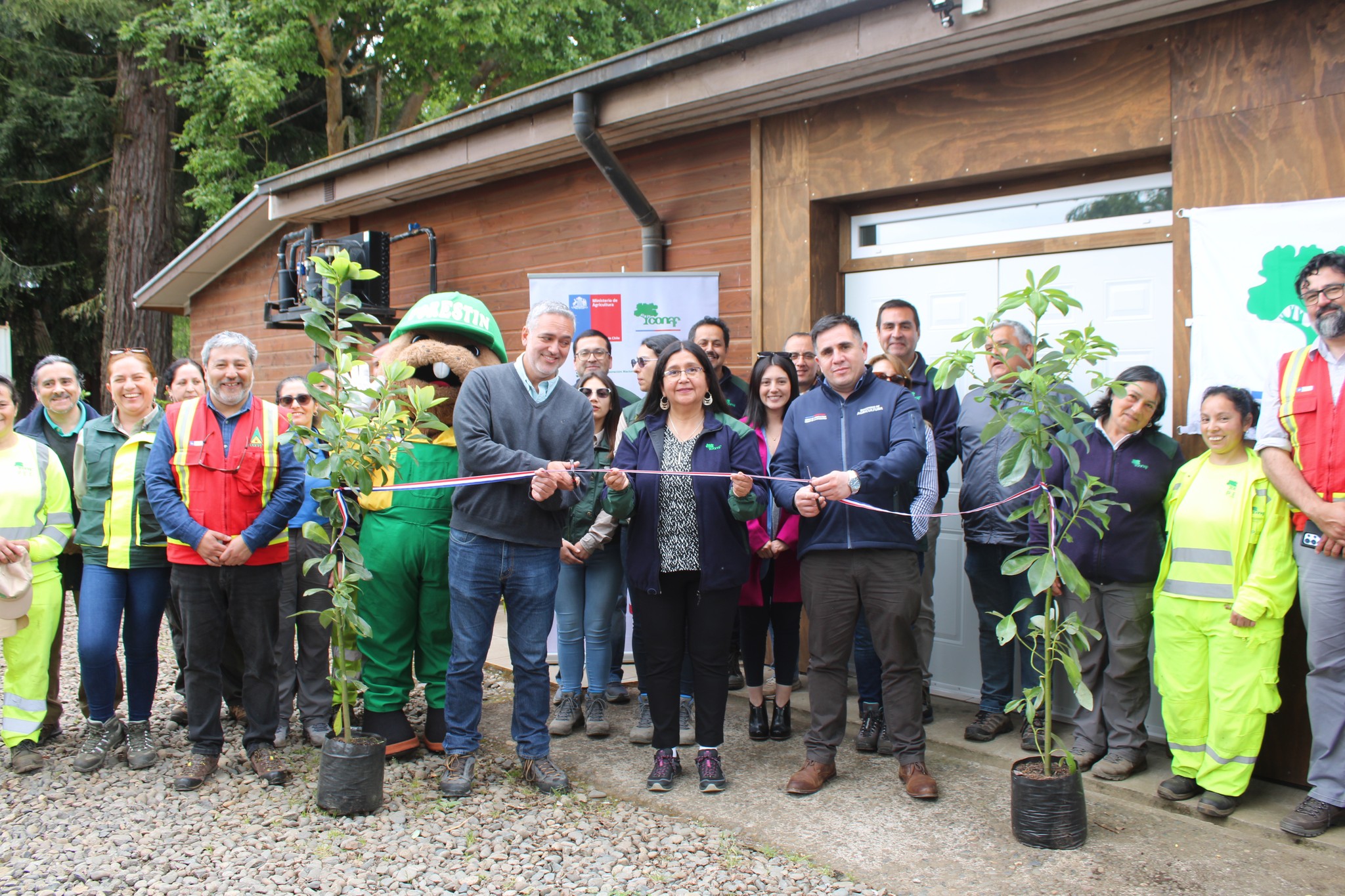 MÁS DE 50 MIL ÁRBOLES NATIVOS Y EN PELIGRO DE EXTINCIÓN SE PRODUCIRÁN EN VIVERO DE CONAF ARAUCANÍA