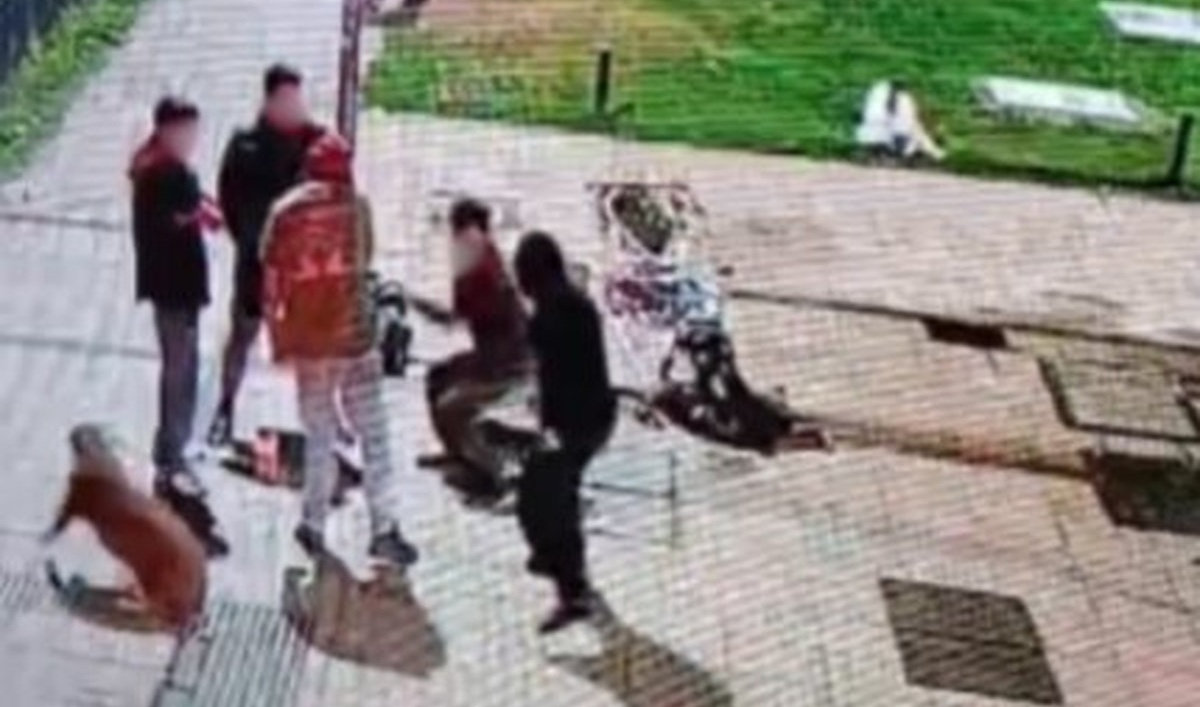 Un sujeto fue baleado en planea vía pública, en la Avenida de Prieto Norte de la ciudad de Temuco.