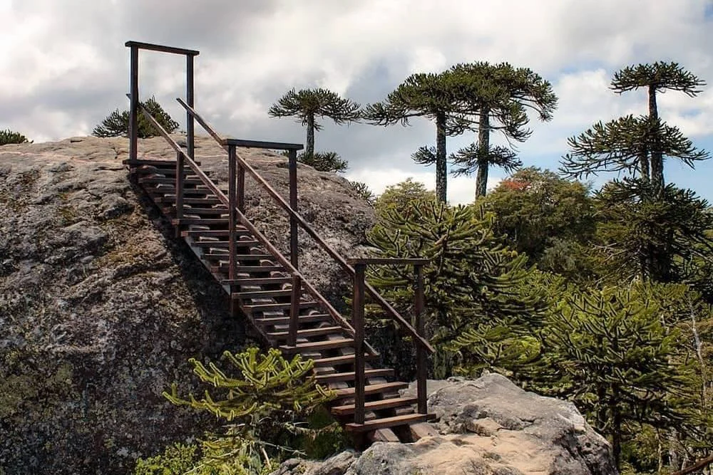 Parque Nacional Nahuelbuta queda en completo abandono del Gobierno.