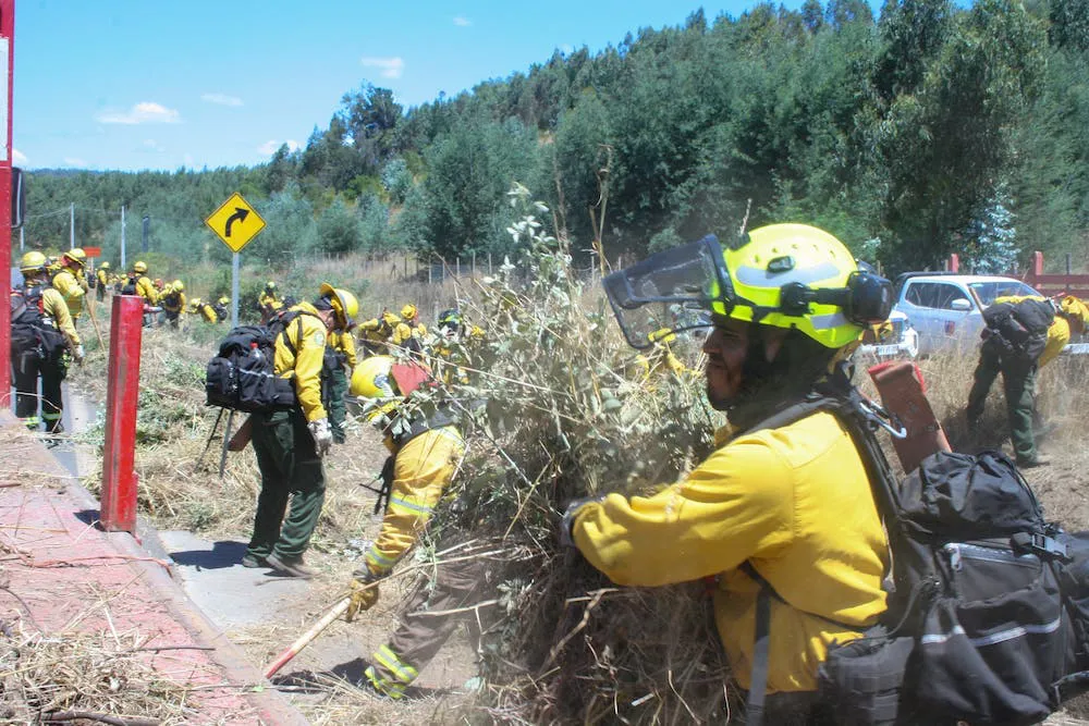 DESPIDEN A BRIGADISTAS MEXICANOS QUE ESTUVIERON PRESTANDO APOYO EN LA ARAUCANÍA