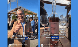 ¡Se viene la Fiesta de la Vendimia en la ciudad de Temuco!