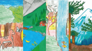 Vista Hermosa premia a estudiantes del sur en concurso de arte sobre el cuidado del bosque.