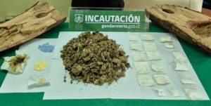 Detectan drogas al interior de un tronco que querían ingresar a la Cárcel de la ciudad de Temuco.