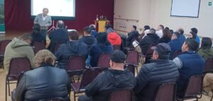 Impulsan producción del aceite de oliva más austral de Chile con innovador proyecto en La Araucanía.