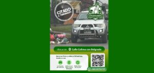 Ecovigilantes en acción en la ciudad de Temuco.