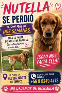 Aviso de Utilidad Pública en la ciudad de Temuco