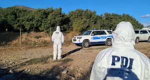 Investigan homicidio en La Araucanía: «Hallaron cadáver de hombre a un costado de ruta Saavedra – Huapi».