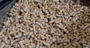 Autoridades y gremios descartan desabastecimiento de pellet en La Araucanía tras denuncia parlamentaria.