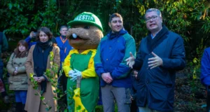 Con plantación simbólica de un temu en el «Cerro Ñielol», la ciudad de Temuco inicia plan de recuperación con 2.170 árboles nativos.