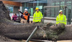 Más de 195 emergencias y cerca de 120 viviendas afectadas deja sistema frontal en Temuco.