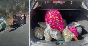 Desarticulación interregional: Condenan a seis imputados por red de drogas en Temuco, pero Fiscalía no logra probar «organización criminal»
