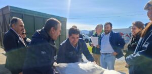 Minagri entrega 11 toneladas de alimento animal a agricultores afectados por el sistema frontal en La Araucanía.