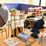 CARTA AL DIRECTOR: “PISA, IA y la tentación de delegar el juicio”.