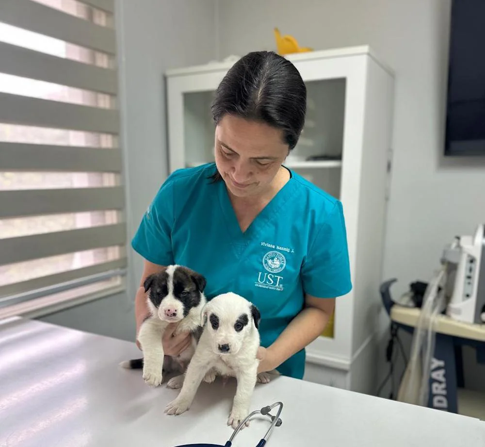 ENTREVISTA: «Mascotas ayudan a reducir la soledad y fortalecer el bienestar emocional»