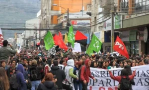 Cerca de 300 personas marcharon en la ciudad de Temuco en defensa de la educación pública.